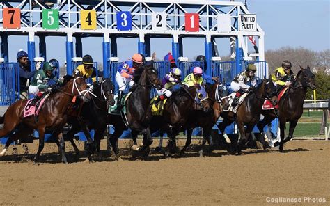 aqueduct racetrack picks|More.